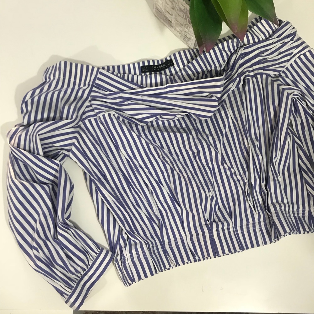 Zara Cropped Top